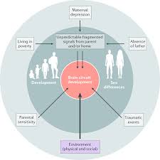 Unlocking the power of data 2nd edition. Early Life Adversity And Neurological Disease Age Old Questions And Novel Answers Nature Reviews Neurology