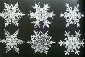 Jacqueline briggs martin's eloquent text and mary azarian's colorful woodcuts illustrate his life and convey his enthusiasm for snow. The True Story Of The Snowflake Man Children S Books More