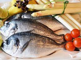 ปลา ประโยชน ของปลา บำร งห วใจและไต ช วยป องก น 10 โรคร าย ปลา