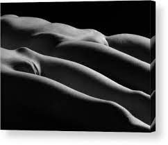 0851 Black White Nude Abstract Art Acrylic Print by Chris Maher - Fine Art  America