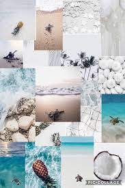 Turtles Iphone Wallpaper Themes Abstract Art Wallpaper Beach Wall Collage