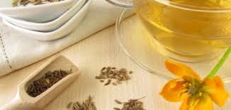 فوائد شرب الشمر Food Blog Blog Posts