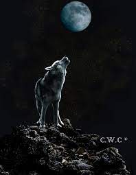 Men S Sweatshirt Women S Sweatshirt Wolf Howling At Moon Wolf Howling Wolf Moon