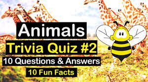 Julian chokkattu/digital trendssometimes, you just can't help but know the answer to a really obscure question — th. Animals Quiz Video Exciting Animal Kingdom Trivia Quiz Beez