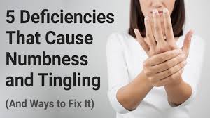 5 Deficiencies That Cause Numbness And Tingling Anti Cancer Zinc Deficiency Reishi Mushroom Benefits