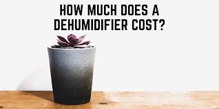 They report that it is a monster which whole house dehumidifiers have extensive coverage range and superior dehumidification performance. How Much Does A Dehumidifier Cost Top 5 Best Cost Effective Dehumidifiers Indoorbreathing
