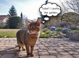 The garden experts at gardena have created a set of standard example gardens. Garden Themed Internet Memes Gardening Forums