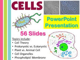 Maybe you would like to learn more about one of these? Cells Powerpoint Presentation Ppt For Biology Life Science Tpt