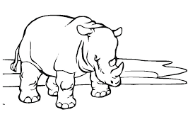 We did not find results for: Cute Baby Rhino Coloring Page Free Printable Coloring Pages For Kids