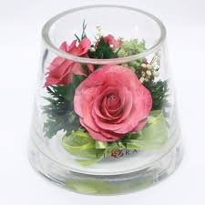 We did not find results for: Fiora Flower Long Lasting Roses In A Sealed Glass Vase Fresh Cut Roses Preserved Roses Unique Present Gift Small Cylinder Amazon Com Au Home