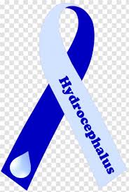 The more popularity it has been got from its various types of dls team 512×512 kits. Logo Clothing Accessories Tottenham Hotspur F C Fashion Design Transparent Png