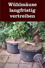 Gift kommt nicht infrage, da wir hunde haben, sowie ultraschallgeräte. Wie Kann Man Wuhlmause Langfristig Vertreiben Gartenbob De Der Garten Ratgeber