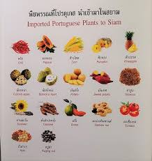 Create good names for games, profiles, brands or social networks. Bangkok S Portuguese Past World History Encyclopedia