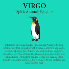 Virgo is the sixth sign of the zodiac, to be exact, and that's the way virgos like it: 900 Virgo Ideas In 2021 Virgo Virgo Quotes Virgo Zodiac