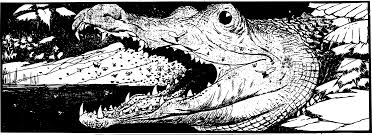 Kumpulan gambar hitam putih bw untuk diwarnai sumber : Cartoon Alligator Png Black And White Cartoon Crocodiles Alligators Line Kepala Buaya Hitam Putih 1546372 Vippng