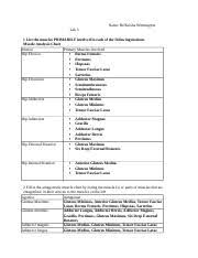 19thed Chapter 9 Doc Chapter 9 Review Exercises 1 List The