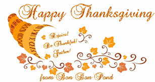 We did not find results for: Top 30 Thanksgiving Gifs Find The Best Gif On Gfycat