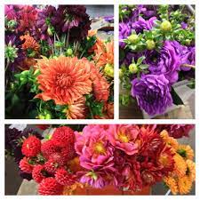 Maybe you would like to learn more about one of these? Denver Wholesale Florist Boise Home Facebook