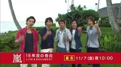 嵐 LIVE＆DOCUMENT ～15年目の告白～