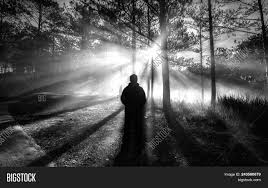 Silhouette Man Pine Image Photo Free Trial Bigstock Man silhouette in spooky forest. silhouette man pine image photo free