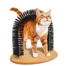 Purrfect Arch Kedi Tirmalama Ve Kasinma Tahtasi Kediler Ve Yavrulari Kedi Kedi Malzemeleri