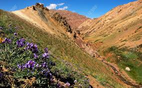 In alaska nature greets you in the morning. Beautiful Nature Landscape As Seen In Mendoza Argentina South Stock Photo Picture And Royalty Free Image Image 11644944