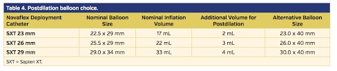 standardized methodology for transfemoral transcatheter