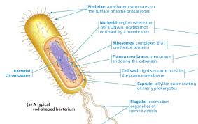 Maybe you would like to learn more about one of these? Wety Yuningsih 06 28 21