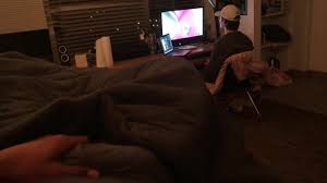Caught Jacking Off: Jacking Off Behind… ThisVid.com