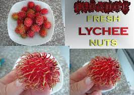 Ecuador Fresh Lychee Nuts Lychee Nut Lychee Nuts
