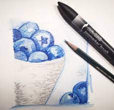 Koji ima male mjere (visinu, dužinu, površinu, volumen itd.) u svojoj vrsti; Blaubeeren Malen Mit Promarker Brush Von Winsor Newton