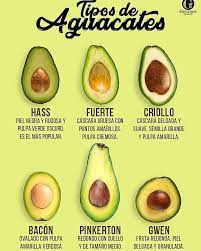 Salud En Hogar On Instagram Lee Los Increibles Poderes De La Semilla De Aguacate Para Tu Salud L Aguacate Beneficios Frutas Y Verduras Beneficios Comida