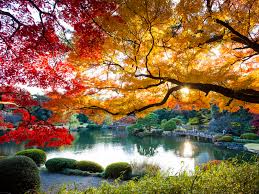The greatest season of the year may only last from early september to late december, but here we celebrate year round. Tokyo In Autumn The Best Things To Do And See Lonely Planet