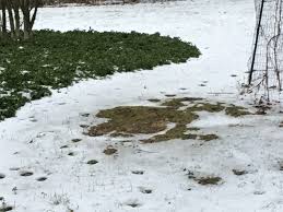 After reading the following, you will surely be saying, how clever these people at meade septic design are! the fact is that these aren't proprietary, nor original techniques. An Easy Way To Find A Septic Tank Lid Under The Snow Wilson Services
