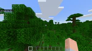 Then you're in luck, because this seed will spawn you fairly close to one of the new jungle temples found in minecraft 1.3. Two Ruined Portal And Jungle Temple Seed 1 16 Minecraft Pe Seeds