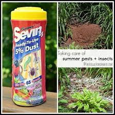 Sevin dust acts as a poison to honey bees. Taking Care Of Summer Pests Insects With Sevin Dust Sponsored Partnership Garden Pests Organic Gardening Garden
