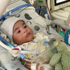 Fundraiser by Tashan Kilkenny : Honoring Lorenzo's Life