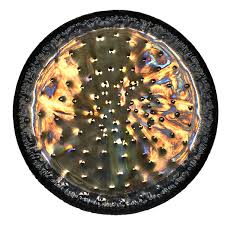 A rimmed metal disk that produces a loud, sonorous tone when struck with a padded mallet. Earth Gong 62 155 Cm Tone Of Life Gongs Shop Innovating In The Field Of Sound
