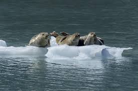 1) we're on course to reach 1.5 degrees c of warming earlier than previously thought. 2xgx5qki9i62um