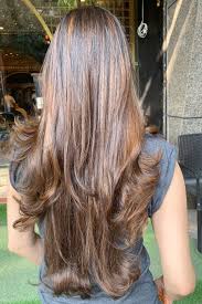 Pin By Ananya On Chocolate Brown Hair Color Extremely Long Hair Brown Straight Hair Elegant Braided Hairstyle