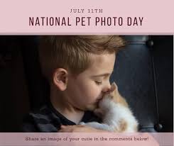 Baby shower decorations with a frog theme