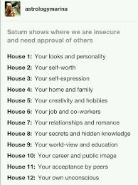 Saturn Astrology Chart Vedic Astrology Astrology
