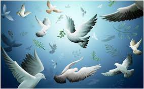 Dove Birds Flying Bird Wallpaper Dove Birds Flying Bird Wallpaper 1080p Dove Birds Flying Bird Wallp Free Moving Wallpapers Bird Wallpaper Moving Wallpapers