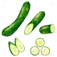 Cucumbers have countless uses and are used in many recipes. Cut Cucumber Illustrations Lizenzfrei Nutzbare Vektorgrafiken Clip Arts Illustrationen Image 147212471
