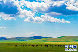 呼伦贝尔：草原返青景色美_新华网