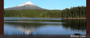 The reserve on willow lake. Willow Lake County Park