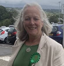 Profile for Cllr Anne Cross