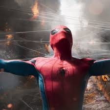 But it is rarely seen in black widows that inhabit north america. Spider Man Homecoming 5 Reasons Why This Is The Best Spider Man Movie Yet Vox