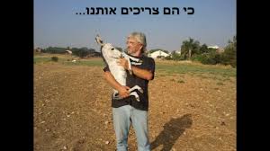 כל הכתבות, החדשות והעדכונים החמים בנושא פגסוס מרוכזים עבורך במקום אחד. ×¢×ž×•×ª×ª ×¤×'×¡×•×¡ ×¨××©×™