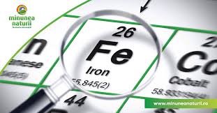 A fost adaugat cu succes in cosul tau de cumparaturi! Anemia Si Carenta De Fier Cauze Si Remedii Naturale Blogul Minunea Naturii